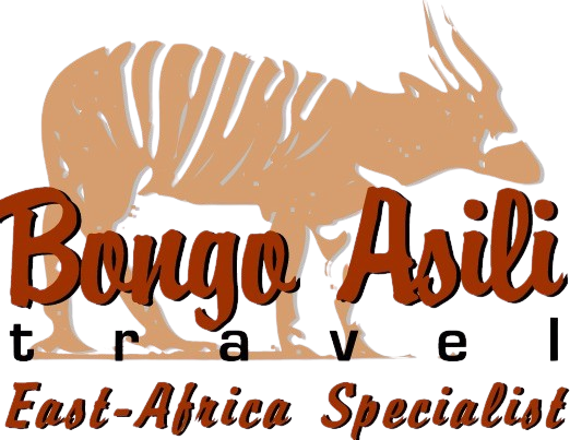 Bongo Asili